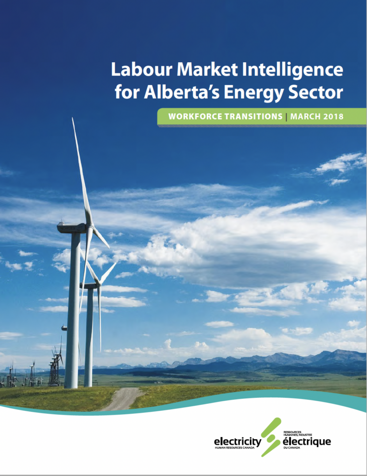 Couverture du Rapport d'IMT 2017-2022