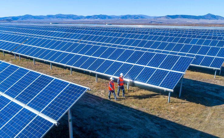two energy workers walking through a solar farm
