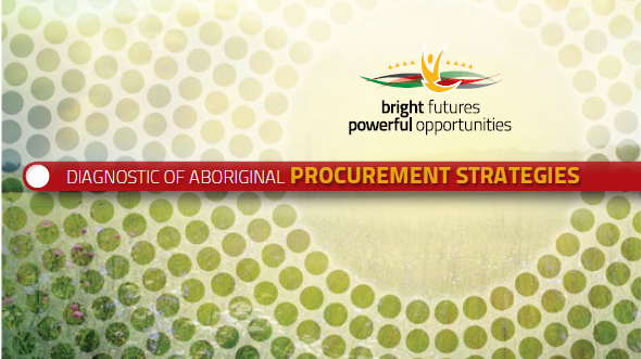 Diagnostic of Aboriginal Procurement Strategies report cover